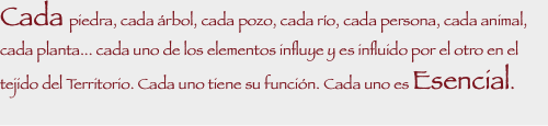 Cada piedra, cada árbol, cada pozo, cada río, cada